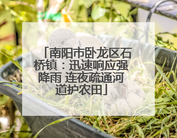 南阳市卧龙区石桥镇：迅速响应强降雨 连夜疏通河道护农田