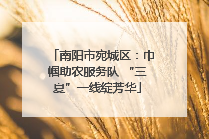 南阳市宛城区：巾帼助农服务队 “三夏”一线绽芳华