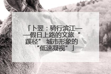 卜翌：骑行滨江——假日上路的文旅“蹊径” 城市形象的“低速凝视”