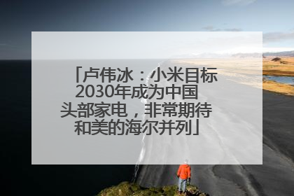卢伟冰：小米目标2030年成为中国头部家电，非常期待和美的海尔并列