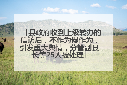 县政府收到上级转办的信访后，不作为慢作为，引发重大舆情，分管副县长等25人被处理
