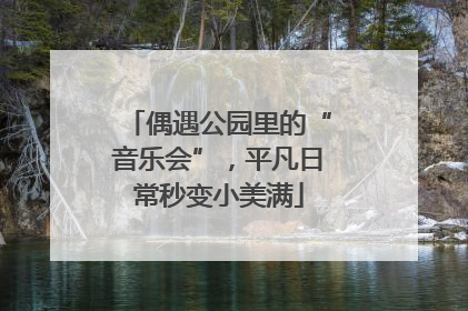 偶遇公园里的“音乐会”，平凡日常秒变小美满