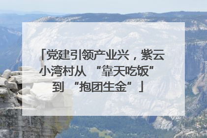 党建引领产业兴，紫云小湾村从 “靠天吃饭” 到 “抱团生金”