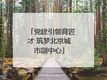 党建引领育匠才 筑梦北京城市副中心