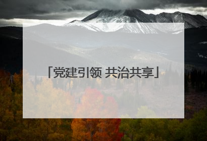 党建引领 共治共享
