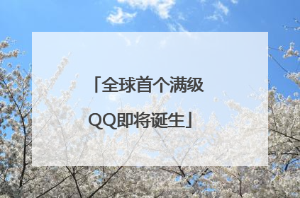 全球首个满级QQ即将诞生