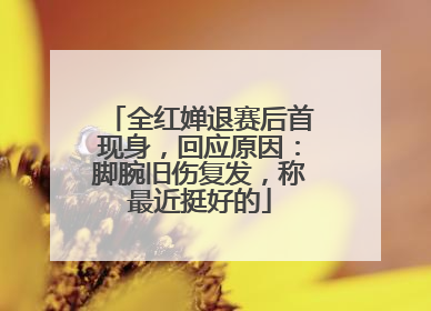 全红婵退赛后首现身，回应原因：脚腕旧伤复发，称最近挺好的