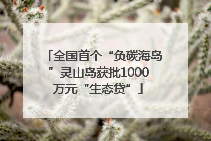 全国首个“负碳海岛”灵山岛获批1000万元“生态贷”