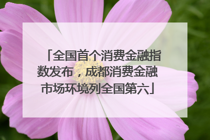 全国首个消费金融指数发布，成都消费金融市场环境列全国第六
