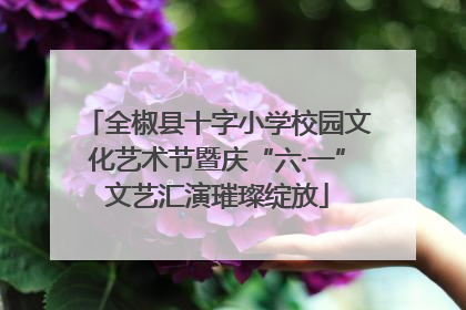 全椒县十字小学校园文化艺术节暨庆“六·一”文艺汇演璀璨绽放