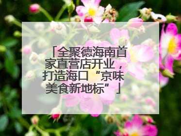 全聚德海南首家直营店开业，打造海口“京味美食新地标”