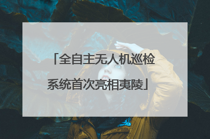 全自主无人机巡检系统首次亮相夷陵