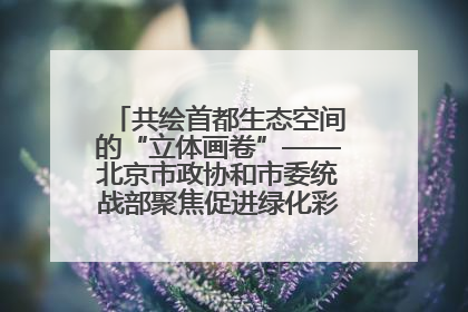 共绘首都生态空间的“立体画卷”——北京市政协和市委统战部聚焦促进绿化彩化美化生态空间建设联合协商议政