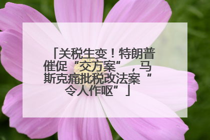 关税生变！特朗普催促“交方案”，马斯克痛批税改法案“令人作呕”