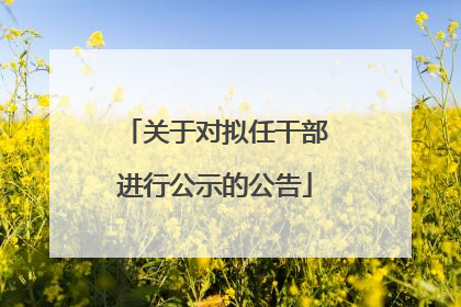 关于对拟任干部进行公示的公告
