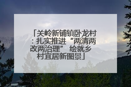 关岭新铺镇卧龙村：扎实推进“两清两改两治理” 绘就乡村宜居新图景