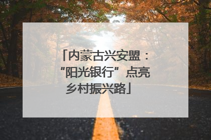 内蒙古兴安盟：“阳光银行”点亮乡村振兴路