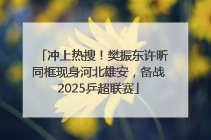 冲上热搜！樊振东许昕同框现身河北雄安，备战2025乒超联赛