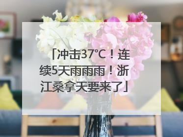 冲击37℃！连续5天雨雨雨！浙江桑拿天要来了