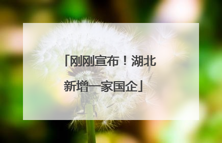 刚刚宣布！湖北新增一家国企