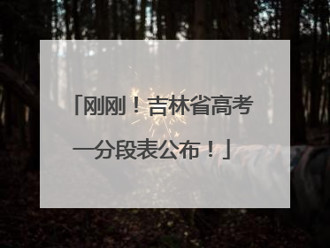 刚刚！吉林省高考一分段表公布！