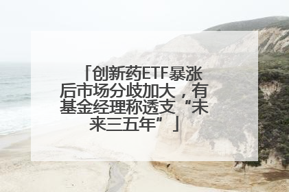 创新药ETF暴涨后市场分歧加大，有基金经理称透支“未来三五年”