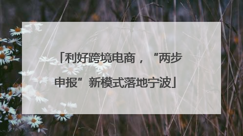 利好跨境电商，“两步申报”新模式落地宁波