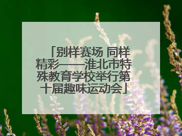 别样赛场 同样精彩——淮北市特殊教育学校举行第十届趣味运动会