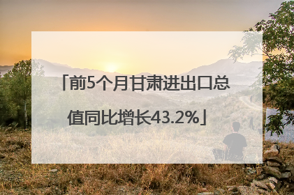 前5个月甘肃进出口总值同比增长43.2%