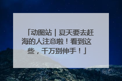 动图站｜夏天要去赶海的人注意啦！看到这些，千万别伸手！