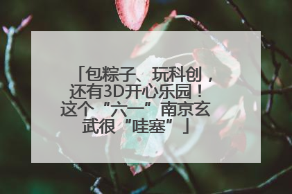 包粽子、玩科创，还有3D开心乐园！这个“六一”南京玄武很“哇塞”