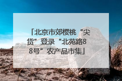 北京市郊樱桃“尖货”登录“北苑路88号”农产品市集