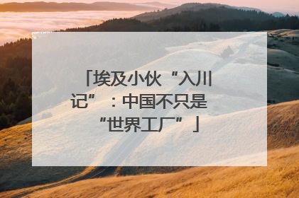 埃及小伙“入川记”：中国不只是“世界工厂”
