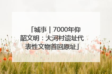 城事｜7000年仰韶文明：大河村遗址代表性文物首回原址