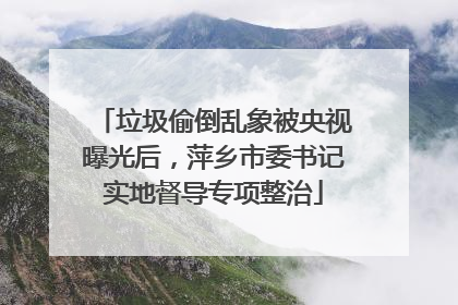 垃圾偷倒乱象被央视曝光后，萍乡市委书记实地督导专项整治