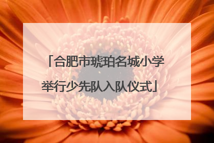 合肥市琥珀名城小学举行少先队入队仪式