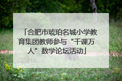 合肥市琥珀名城小学教育集团教师参与“千课万人”数学论坛活动
