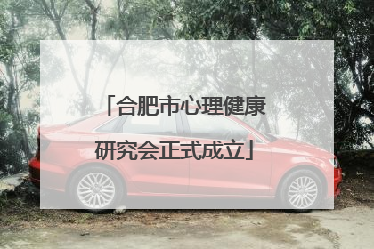 合肥市心理健康研究会正式成立