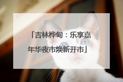 吉林桦甸：乐享嘉年华夜市焕新开市