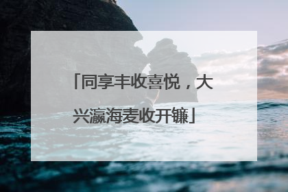 同享丰收喜悦，大兴瀛海麦收开镰