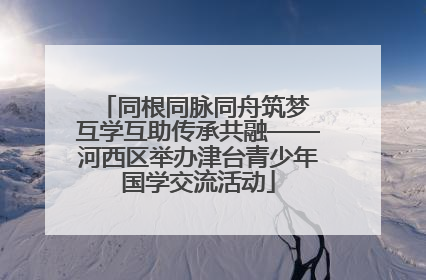 同根同脉同舟筑梦 互学互助传承共融——河西区举办津台青少年国学交流活动