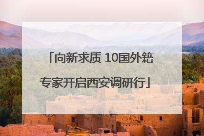 向新求质 10国外籍专家开启西安调研行