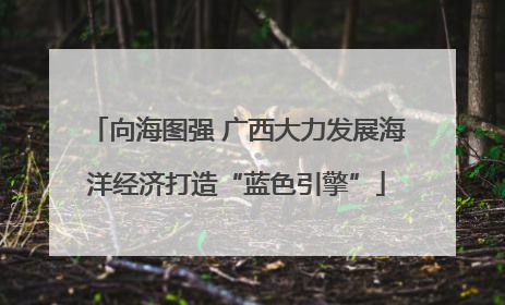 向海图强 广西大力发展海洋经济打造“蓝色引擎”