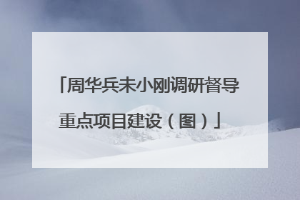 周华兵未小刚调研督导重点项目建设（图）
