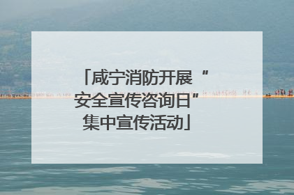 咸宁消防开展“安全宣传咨询日”集中宣传活动