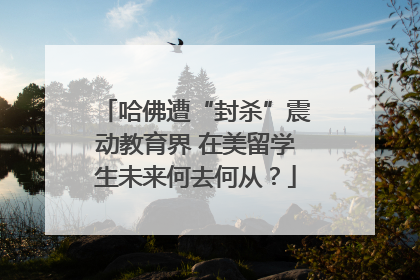 哈佛遭“封杀”震动教育界 在美留学生未来何去何从？