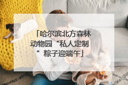 哈尔滨北方森林动物园“私人定制”粽子迎端午