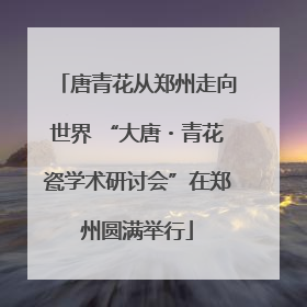 唐青花从郑州走向世界 “大唐・青花瓷学术研讨会”在郑州圆满举行