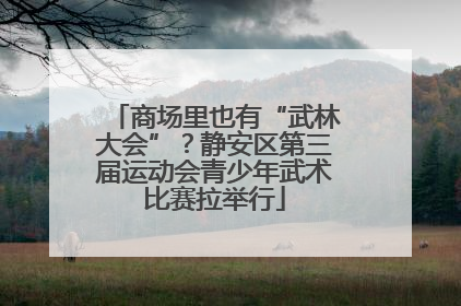 商场里也有“武林大会”？静安区第三届运动会青少年武术比赛拉举行