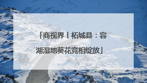 商视界丨柘城县：容湖湿地葵花竞相绽放